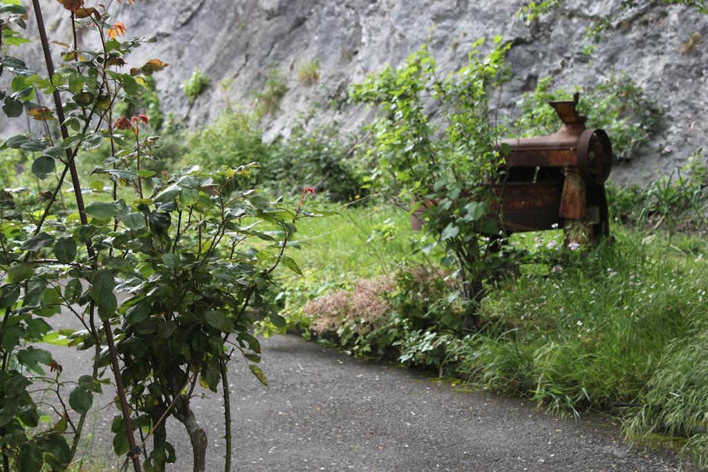 Muriances Vilde Exterior photo